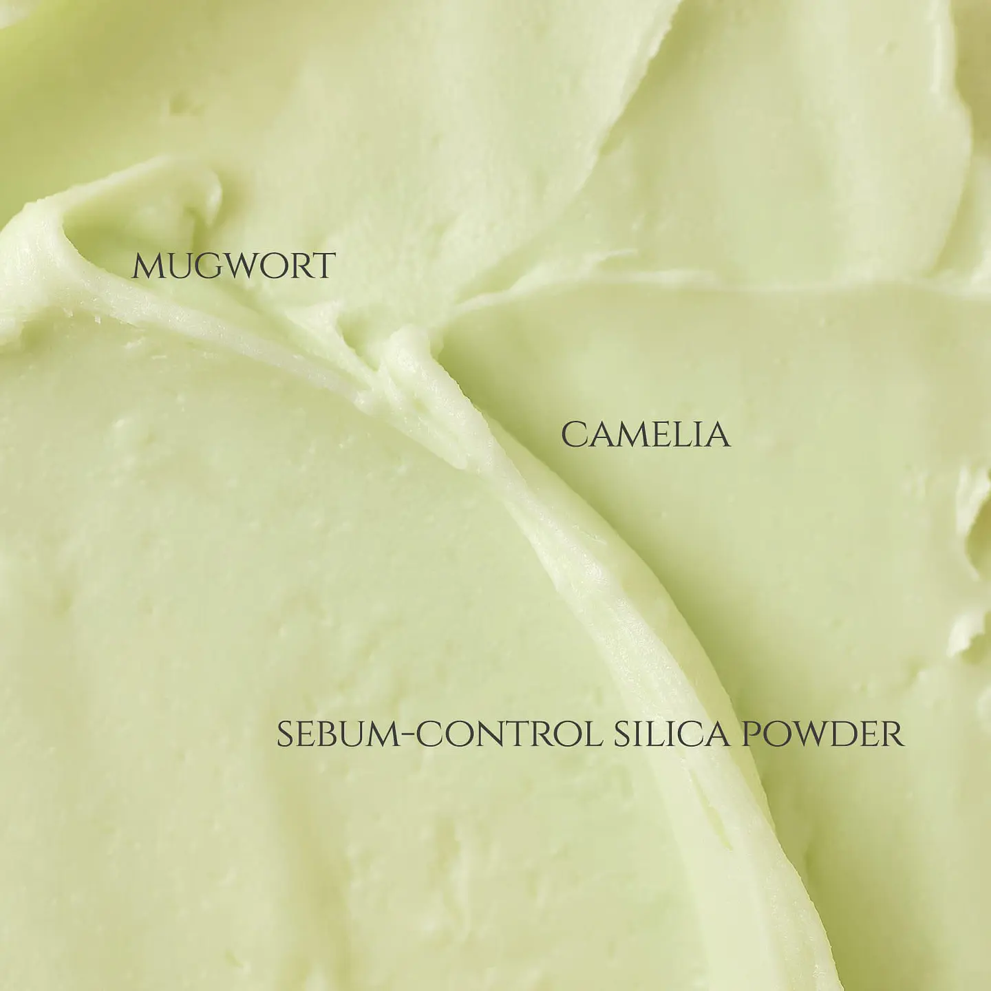 Matte Sun Stick : Mugwort + Camelia SPF 50+ PA++++ (Beauty of Joseon) 18gr Protector solar en barra matificador 4