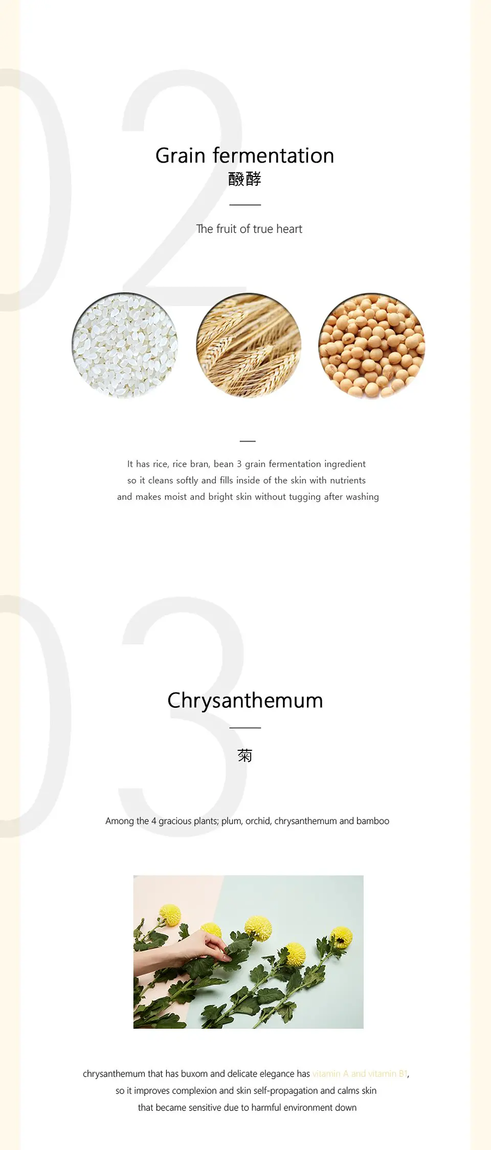 Migam Radiance Cleansing Balm (Beauty Of Joseon) - 100ml Limpiador oleoso aclarante 10