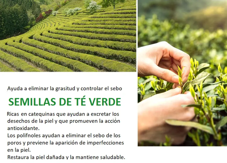 Green Tea Seed Pure Cleansing Foam (Farm Stay) -180ml Espuma limpiadora pieles mixtas y grasas, 3