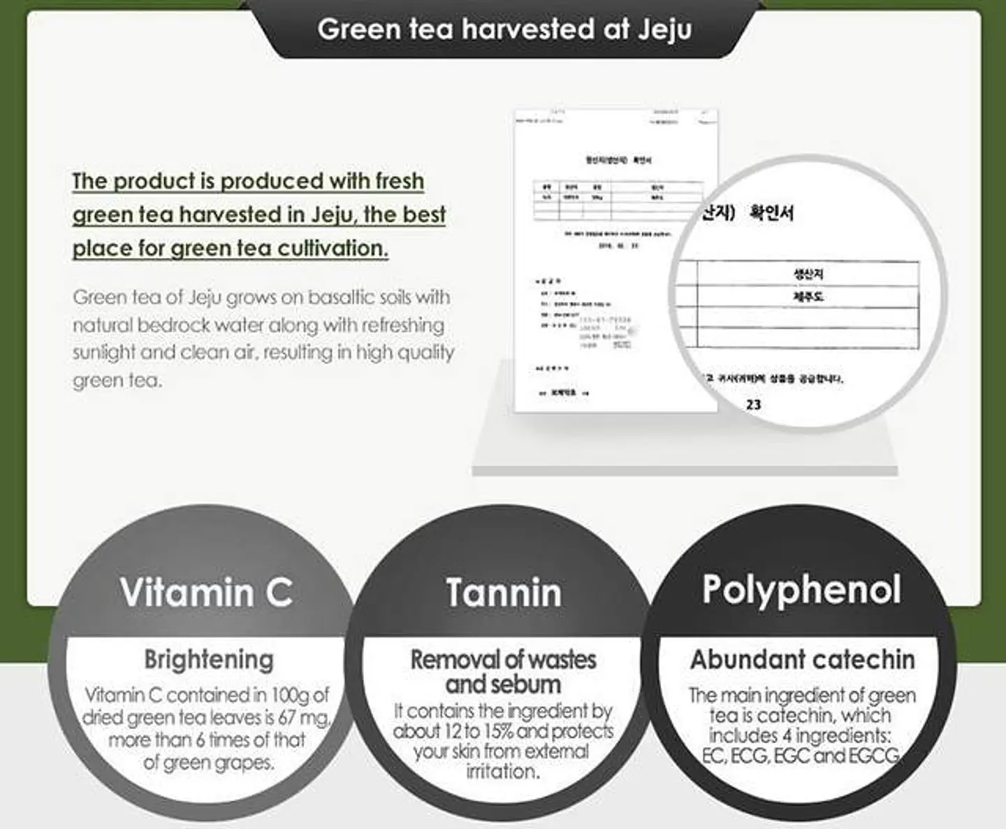 PRÓXIMAMENTE Green Tea Fresh Toner (Isntree) -200ml Tónico 80% té verde pieles mixtas y grasas  8