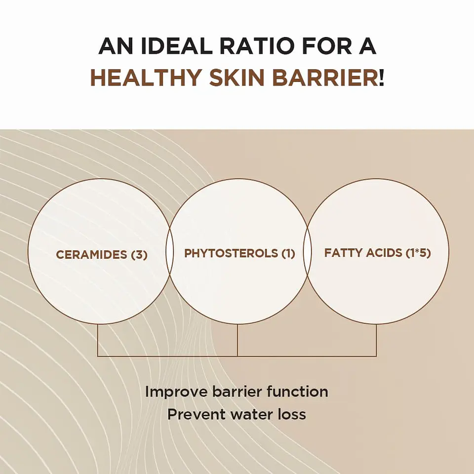  Madagascar Centella Probio-Cica Intensive Ampoule (SKIN1004) - 50ml Serum antiedad con probióticos y centella 9