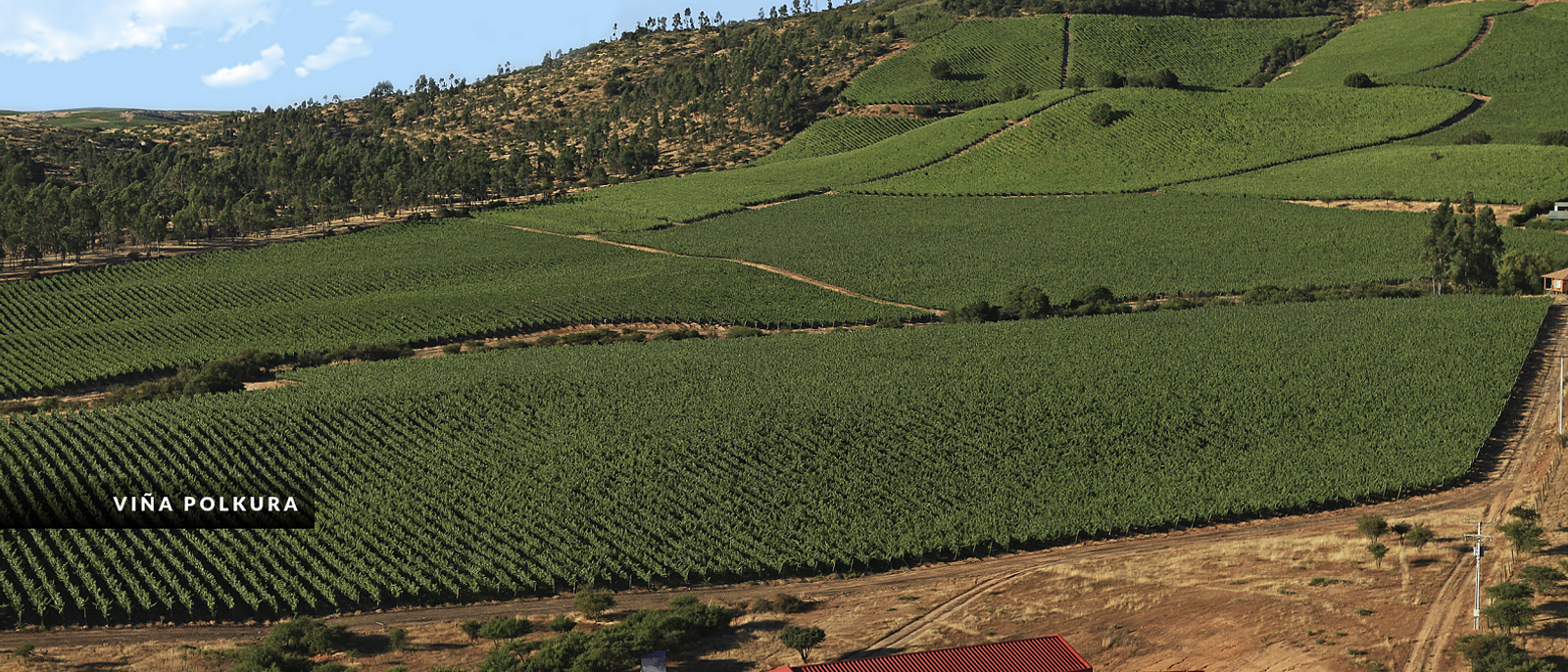 ¿De vacaciones? 10 viñas que sí o sí debes visitar