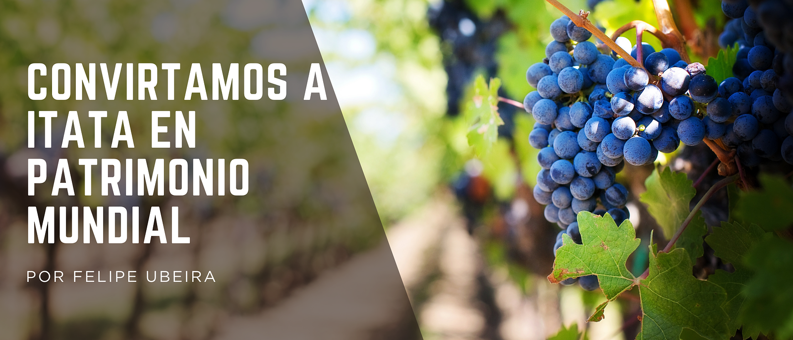 Convirtamos a Itata en Patrimonio Mundial