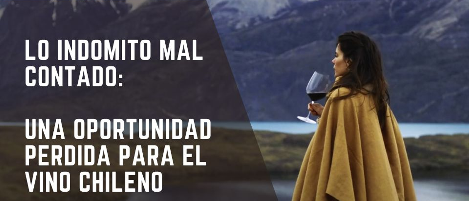 Lo Indómito Mal Contado: Una Oportunidad Perdida para el Vino Chileno 