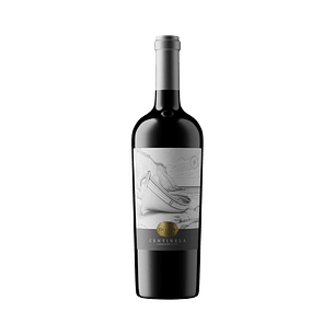 Muelle Oculto Centinela Matri