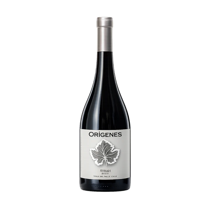 Orígenes Syrah 2018 1