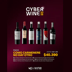 Cyber Wine - Pack Como Carmenere No Hay Otro 