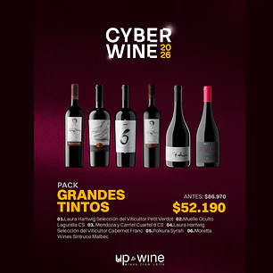 Cyber Wine - Pack Grandes Tintos 