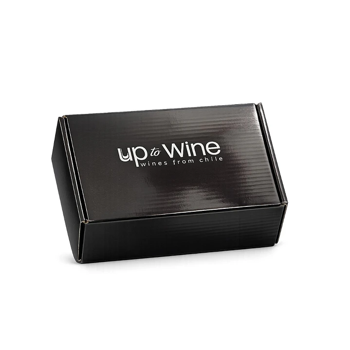 Aireador, Decantador y Dosificador de Vinos Up to Wine 2