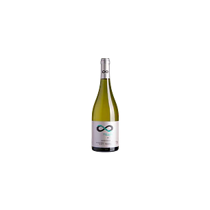 Trapi del Bueno Sauvignon Blanc