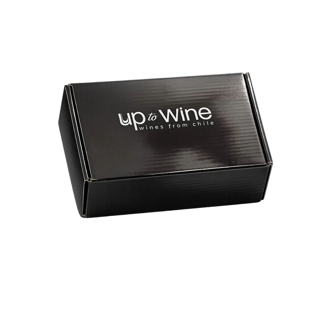 Aireador, Decantador y Dosificador de Vinos Up to Wine 2
