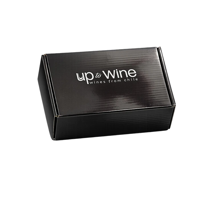 Aireador, Decantador y Dosificador de Vinos Up to Wine 2