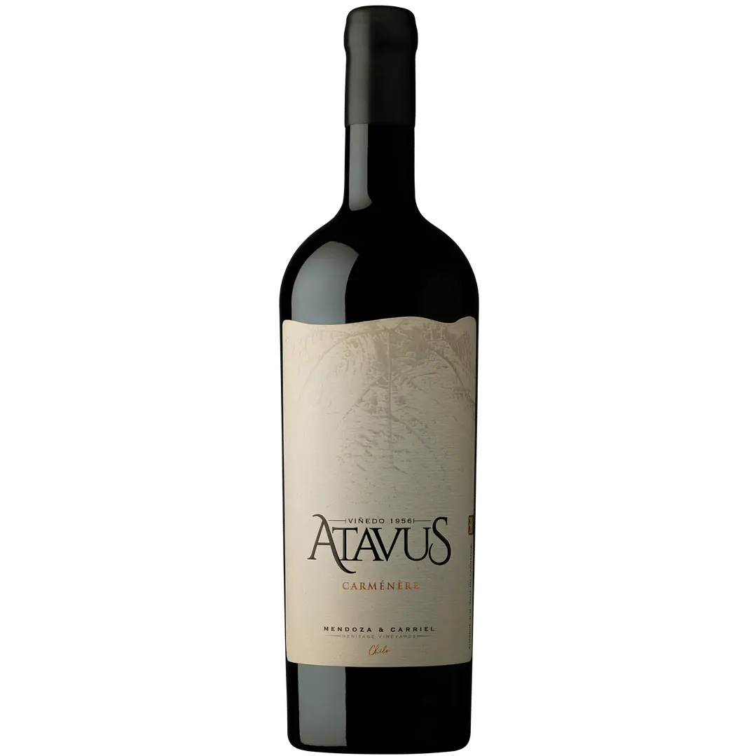 Mendoza & Carriel Atavus 1