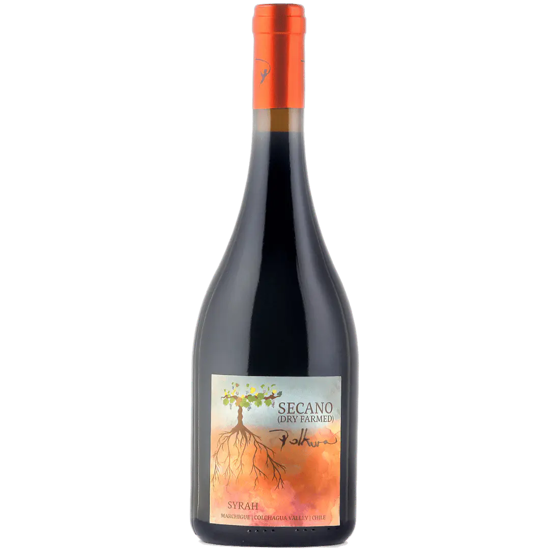 Polkura Secano (Dry Farmed) 1