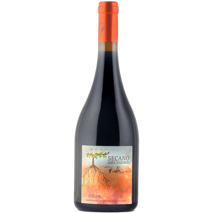 Polkura Secano (Dry Farmed) 1