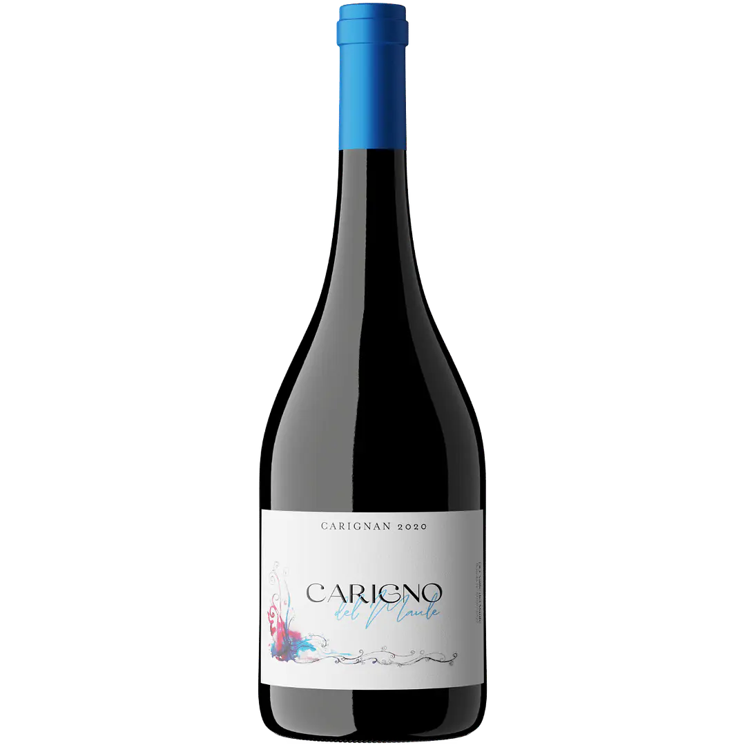 Moretta Carigno del Maule 1