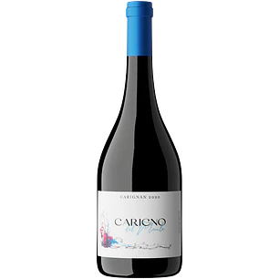Moretta Carigno del Maule