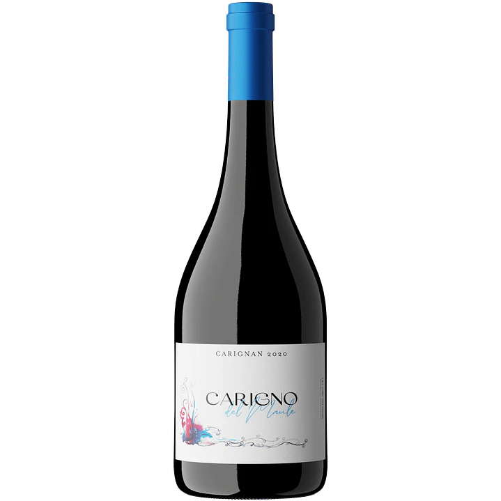 Moretta Carigno del Maule 1
