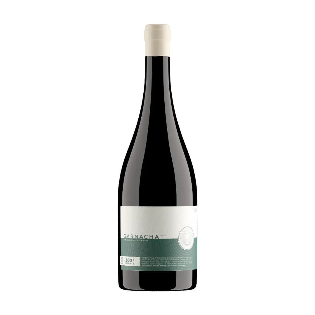 Clavijero Garnacha 1