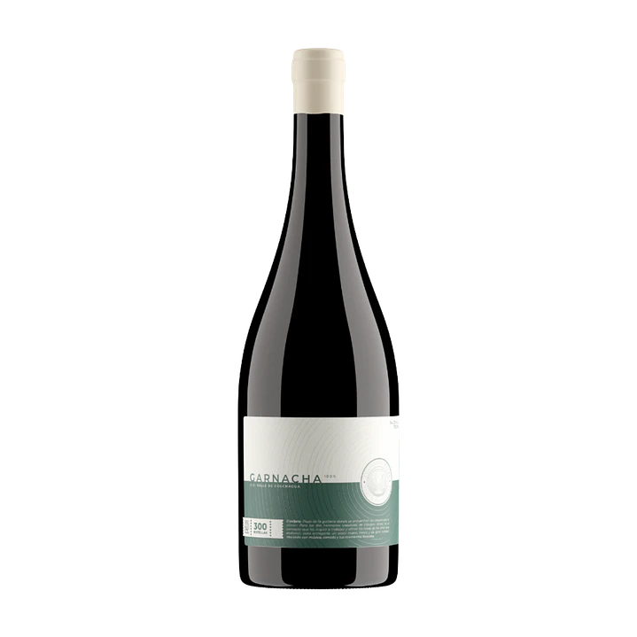 Clavijero Garnacha 1