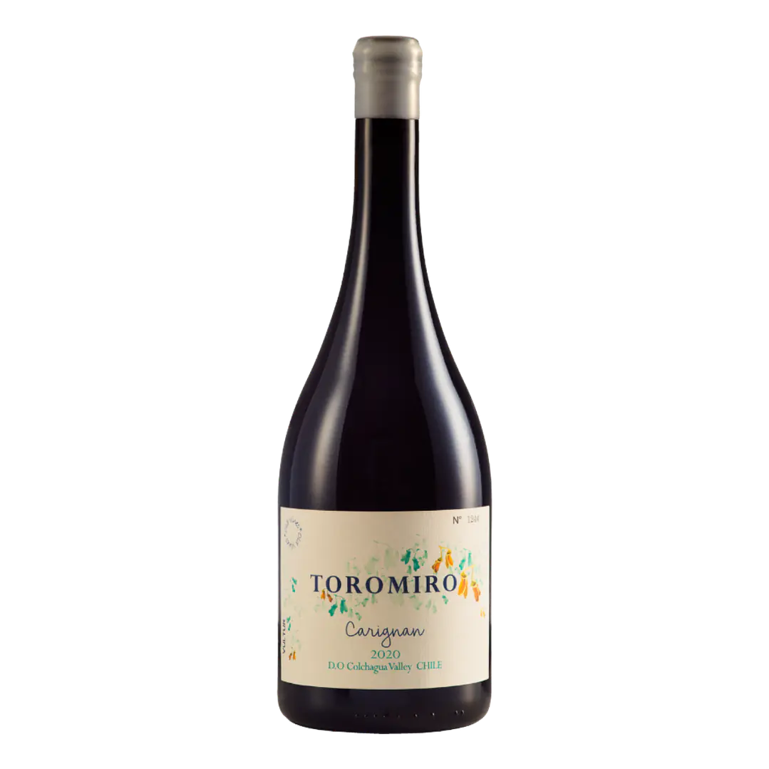 Vultur Toromiro Carignan 1