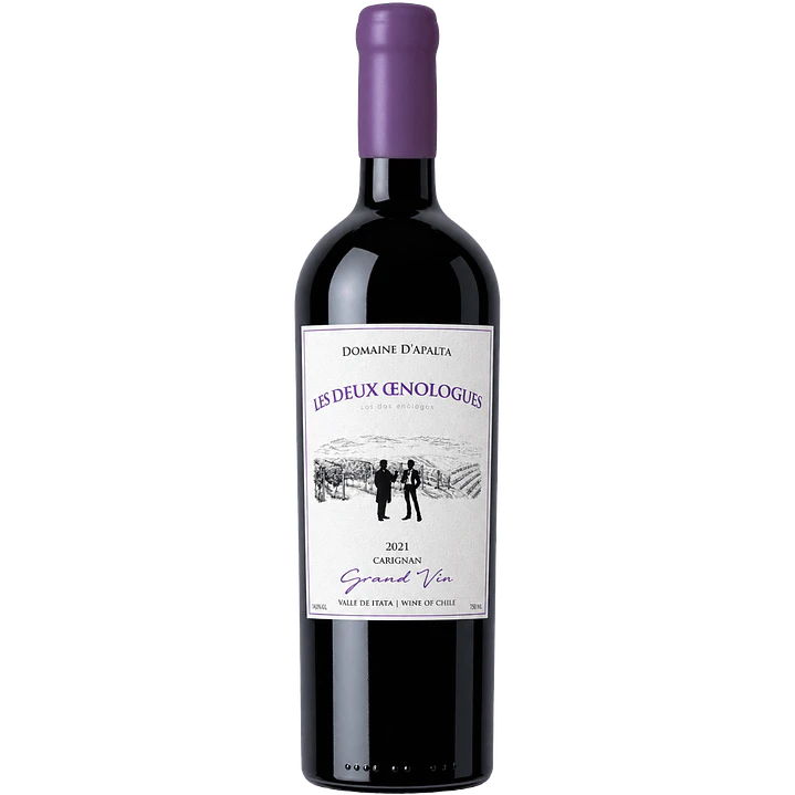 Los Dos Enólogos Gran Vin Carignan 1