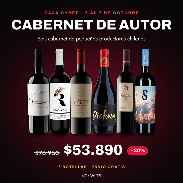 Caja Cyber - Cabernet de Autor 1
