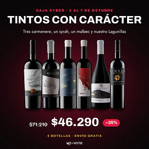 Caja Cyber - Tintos con Carácter