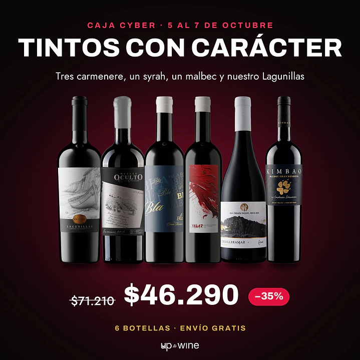 Caja Cyber - Tintos con Carácter 1