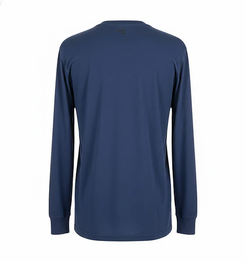Polera Manga Larga Abercrombie & Fitch - Boston Massachusetts (Talla M)