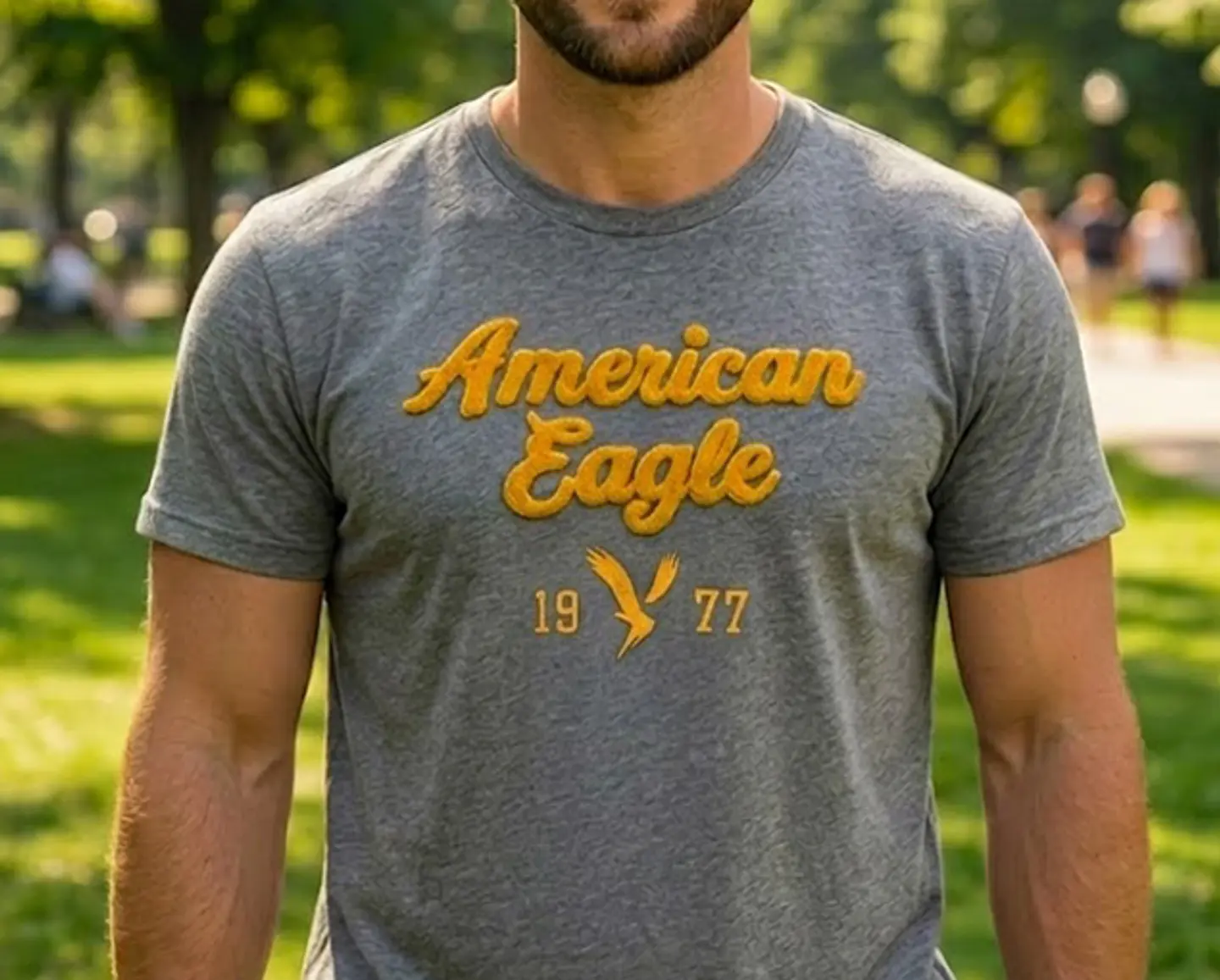 Polera Hombre American Eagle Gris Jaspeada con Estampado Talla XL 4