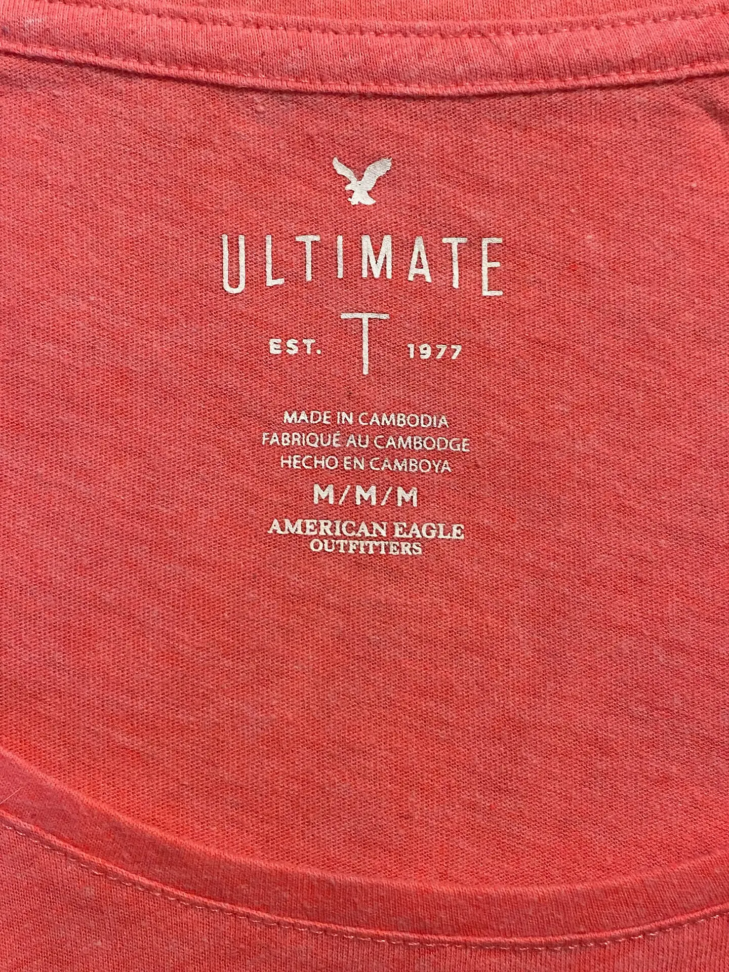 Polera Mujer American Eagle Coral Básica Talla M 6