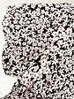 Vestido Corto Casual Floral Blanco y Negro Angie, Talla S - Miniatura 10