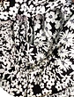 Vestido Corto Casual Floral Blanco y Negro Angie, Talla S - Miniatura 11