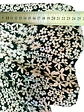 Vestido Corto Casual Floral Blanco y Negro Angie, Talla S - Miniatura 14