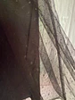 Vestido Corto Negro de Fiesta con Encaje e Xhilaration, Talla M - Miniatura 9