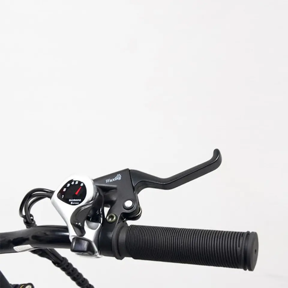Mini 16 13