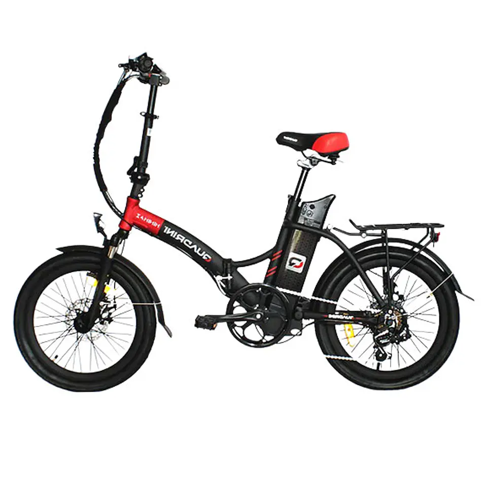 Quadrini Minimax 1