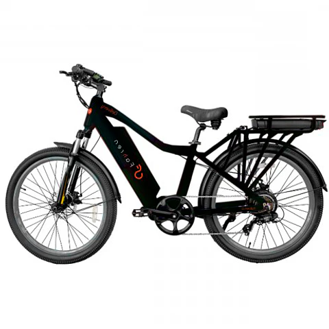 Delivery Twin
