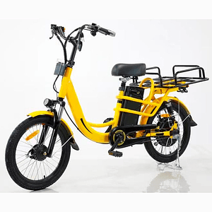 Ebike Delivery