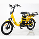 Ebike Delivery - Image 1