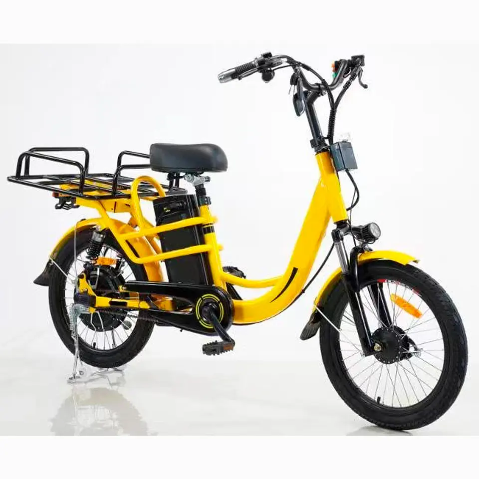 Ebike Delivery 4