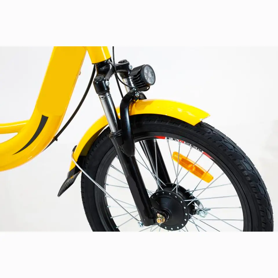 Ebike Delivery 3