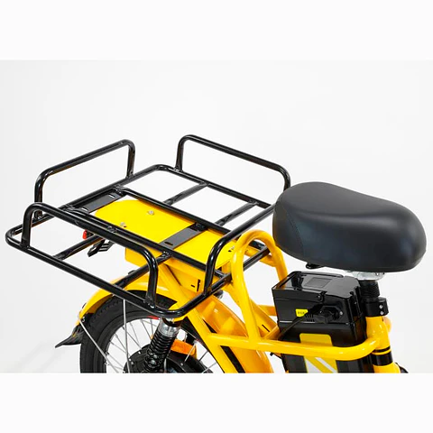 Ebike Delivery
