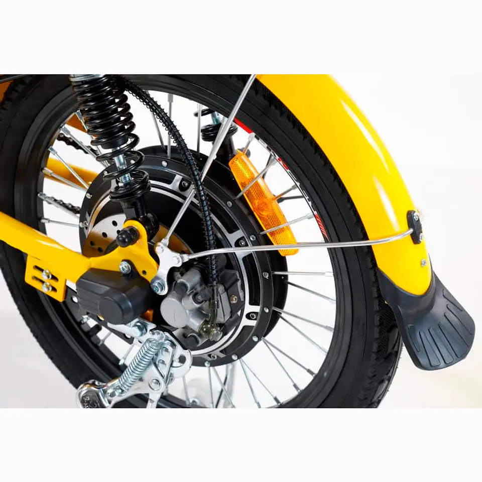 Ebike Delivery 5
