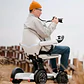 E-Handicap - Miniatura 4