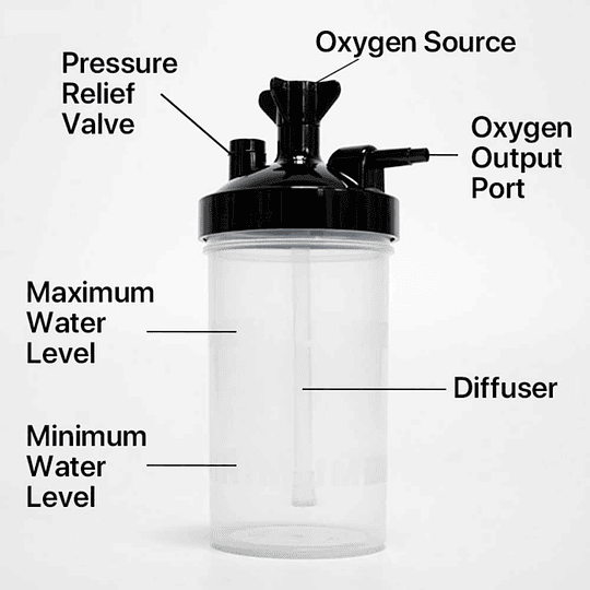 Vaso Humidificador E7600 - Image 2