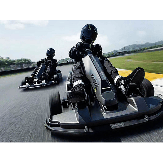 Gokart Pro - Image 5