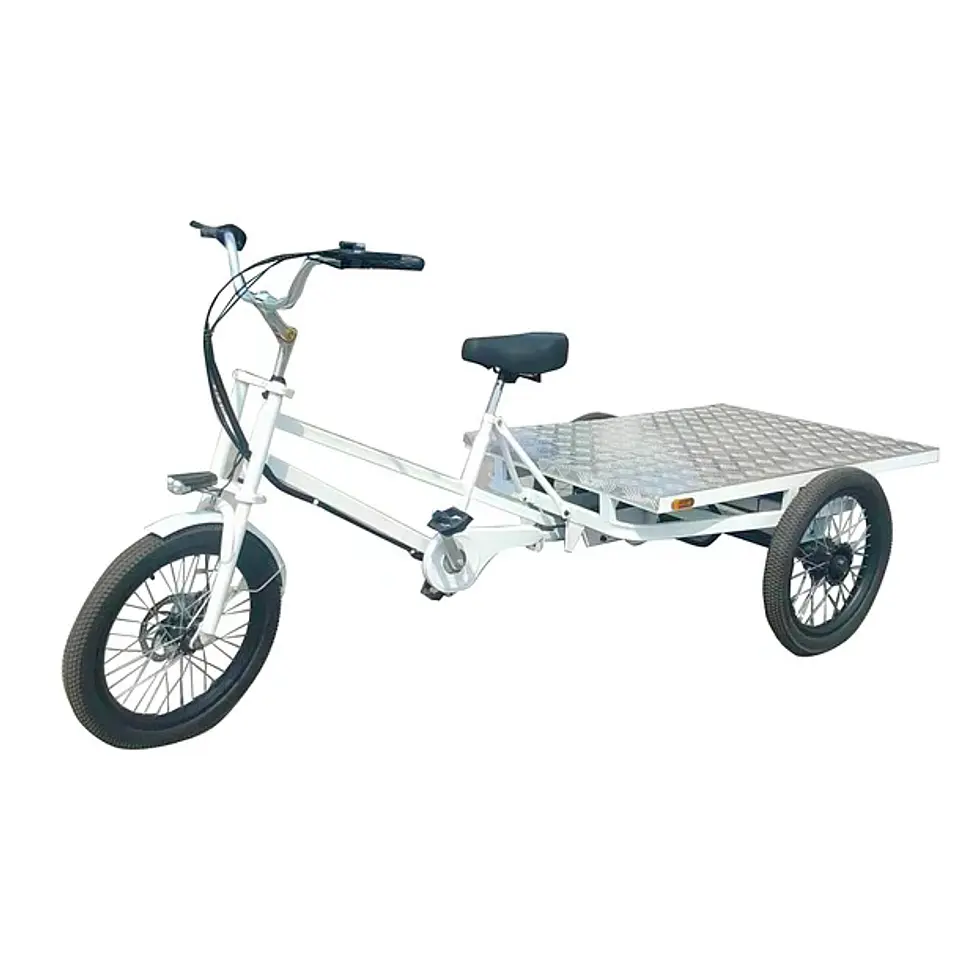 Tricicleta Cargo Flat 1