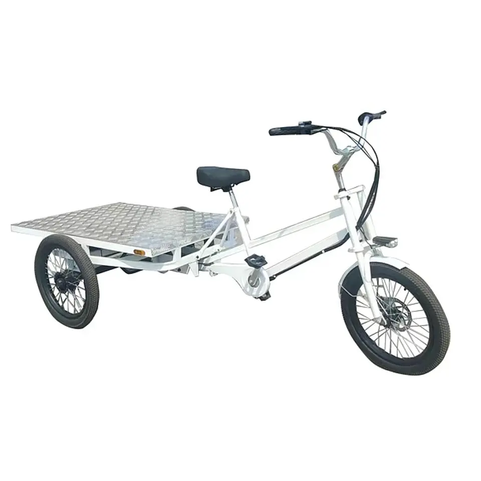 Tricicleta Cargo Flat 2